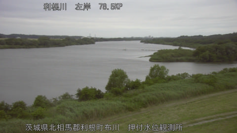 tonos2026060519_image