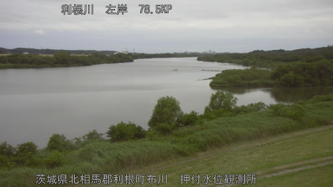 tonos2026060605_image