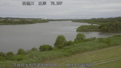 tonos2026060607_image