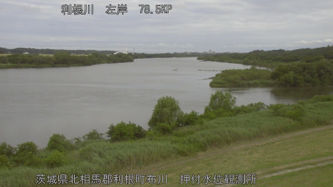 tonos2026060608_image