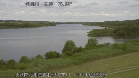 tonos2026060609_image