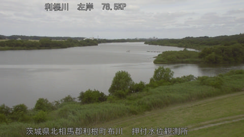 tonos2026060611_image