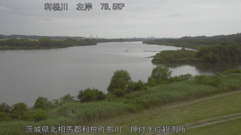 tonos2026060712_image