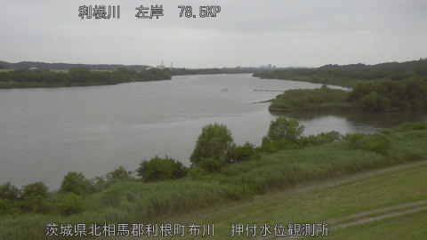 tonos2026060714_image