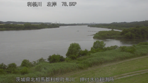 tonos2026060715_image