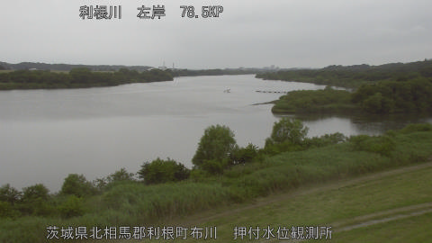 tonos2026060716_image