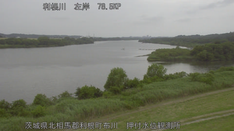 tonos2026060717_image