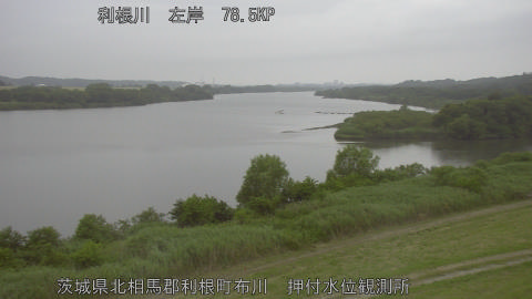 tonos2026060718_image