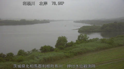 tonos2026060805_image