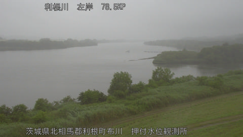 tonos2026060808_image