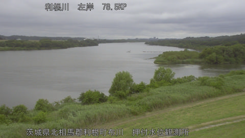 tonos2026060812_image