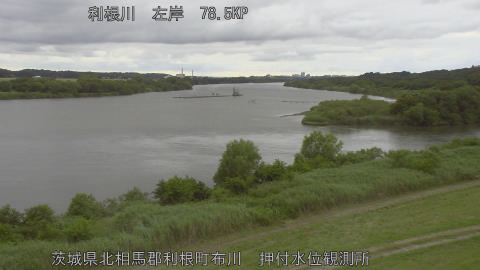tonos2026060817_image