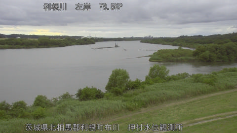 tonos2026060818_image