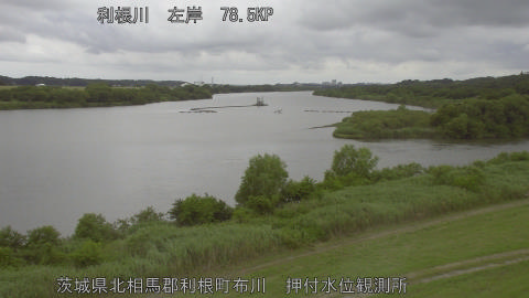 tonos2026060911_image