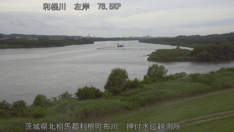 tonos2026060915_image