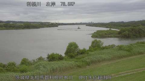 tonos2026061006_image
