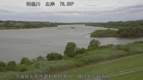 tonos2026061012_image