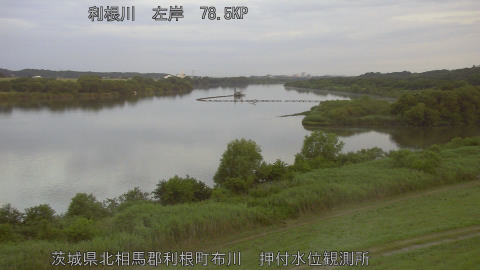 tonos2026061105_image