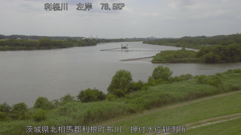 tonos2026061113_image
