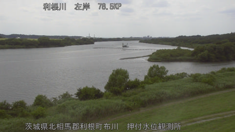 tonos2026061114_image