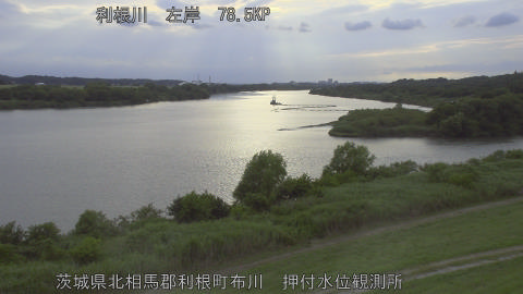 tonos2026061118_image