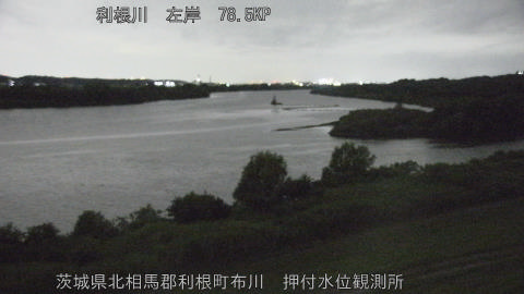 tonos2026061121_image