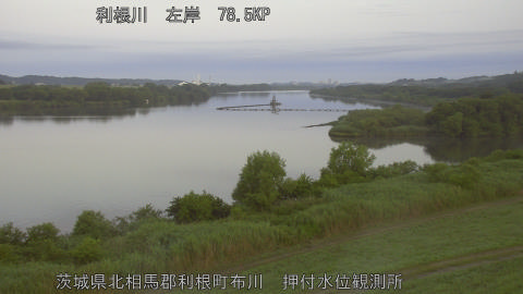 tonos2026061205_image