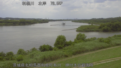 tonos2026061213_image