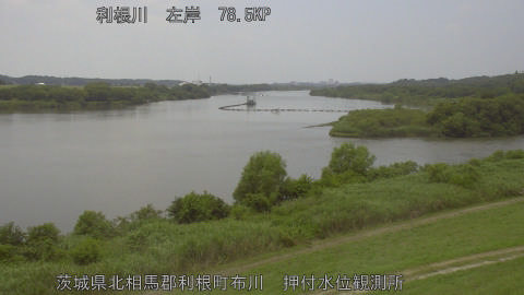 tonos2026061312_image