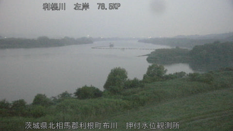 tonos2026061404_image
