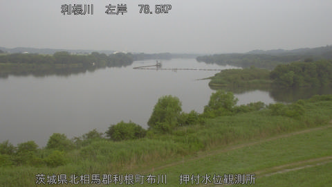 tonos2026061407_image