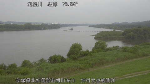 tonos2026061408_image