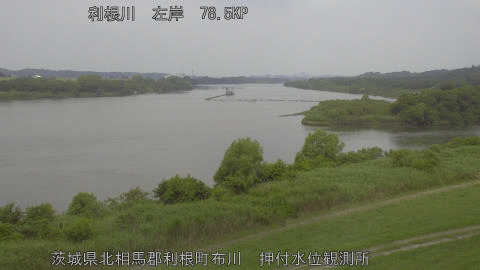 tonos2026061410_image