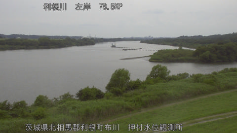 tonos2026061415_image