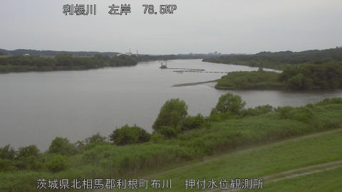 tonos2026061416_image