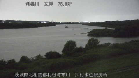 tonos2026061421_image