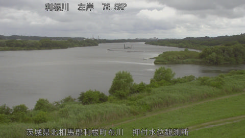 tonos2026061511_image