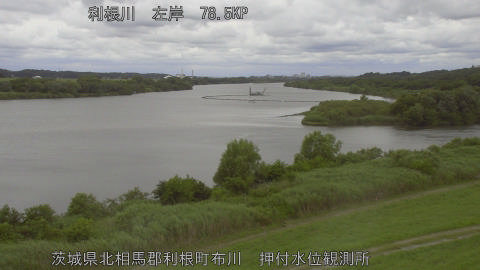 tonos2026061512_image
