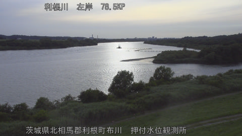 tonos2026061618_image