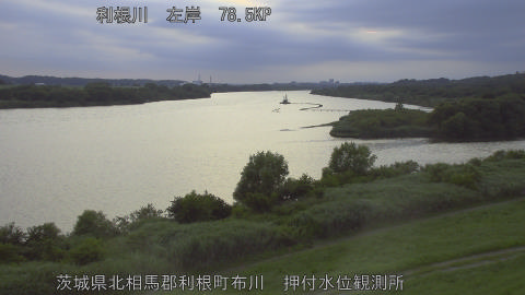 tonos2026061919_image