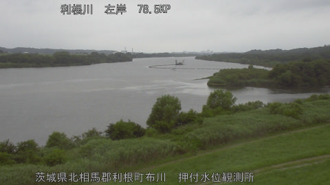 tonos2026062013_image