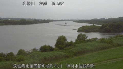 tonos2026062014_image