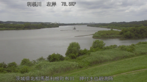 tonos2026062412_image