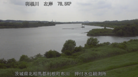 tonos2026063015_image