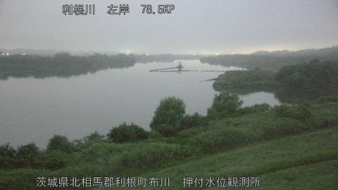 tonos2026070104_image