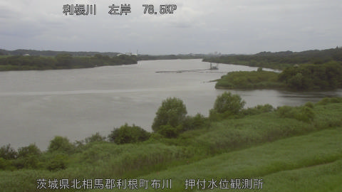tonos2026070713_image