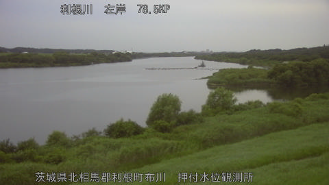 tonos2026071205_image