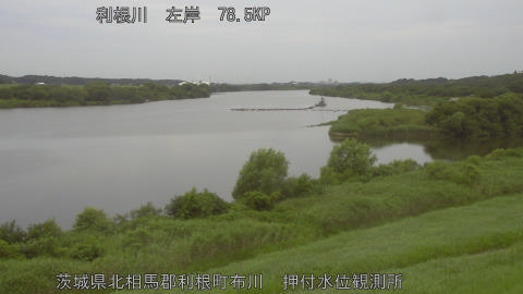 tonos2026071206_image