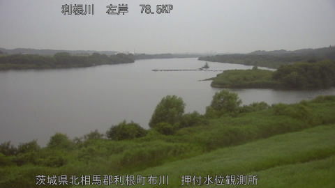 tonos2026071305_image