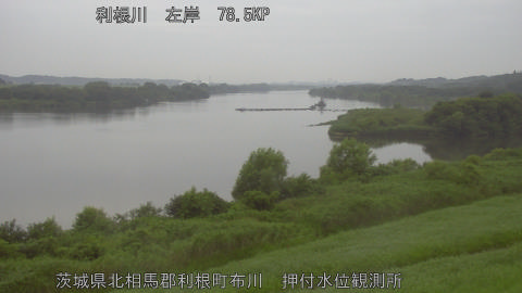 tonos2026071306_image